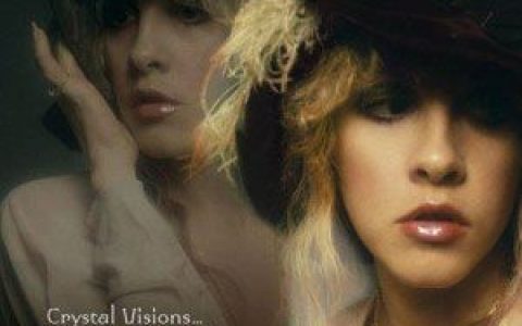 Stevie Nicks歌曲:talk to me歌词