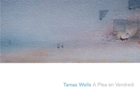 Tamas Wells歌曲:i m sorry that the kitchen is on fire歌词