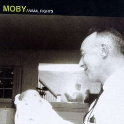Moby歌曲:Someone To Love歌词