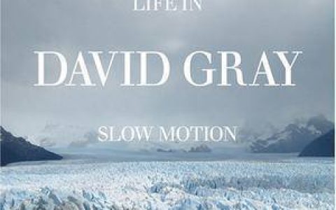 David Gray歌曲:hospital food歌词