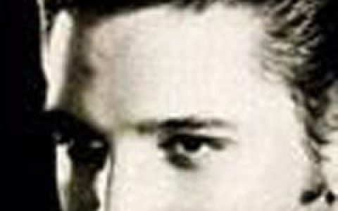Elvis Presley歌曲:JUST BECAUSE歌词