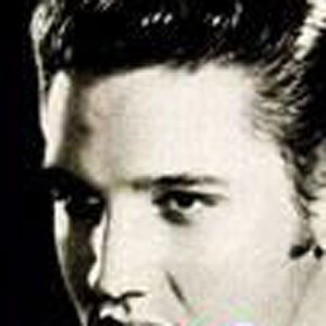 Elvis Presley歌曲:I LOVE YOU BECAUSE歌词