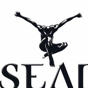 Seal歌曲:Human Beings歌词