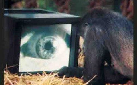 Roger Waters歌曲:Late Home Tonight, Part I歌词