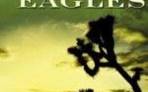 The Eagles歌曲:Heartache Tonight歌词