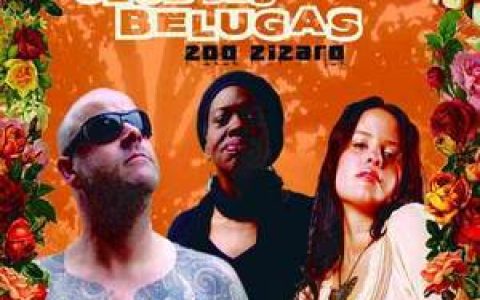 Club Des Belugas歌曲:Un Grao De Areia歌词