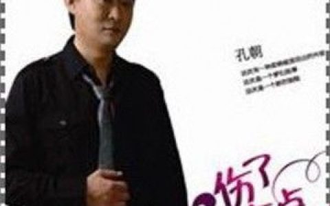 孔朝歌曲:伤了一点点歌词