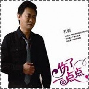 孔朝歌曲:伤了一点点歌词