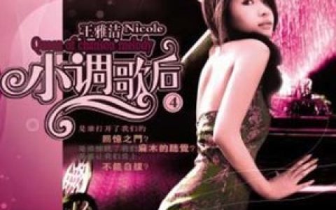 王雅洁歌曲:爱情的故事歌词