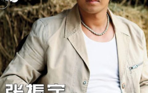 张振宇歌曲:爱上你等于爱上了错歌词