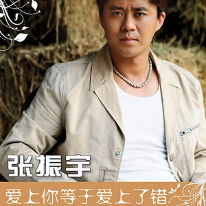 张振宇歌曲:爱上你等于爱上了错歌词
