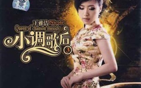 王雅洁歌曲:爱上一个不回家的人歌词