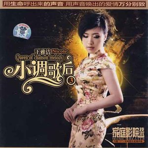 王雅洁歌曲:爱上一个不回家的人歌词