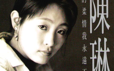 陈琳歌曲:你的柔情我永远不懂歌词