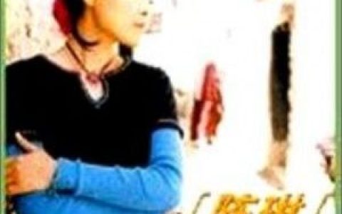陈琳歌曲:当爱已错时歌词