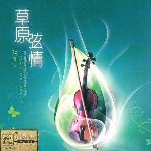 赵坤宇歌曲:爱在草原歌词