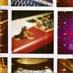 Cocoon歌曲:Tell Me歌词