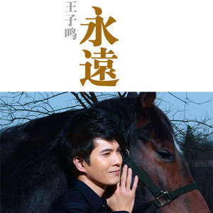 王子鸣歌曲:永远不联络歌词