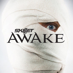 Skillet歌曲:Believe歌词