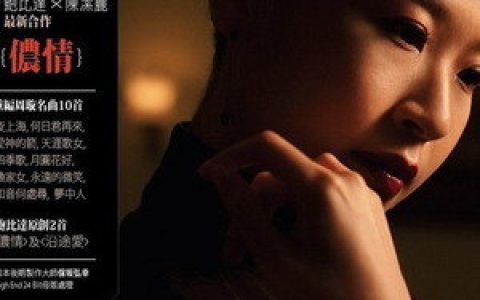 陈洁丽歌曲:知音何处寻歌词