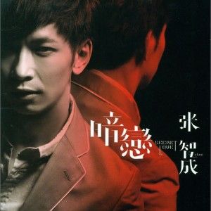 张智成歌曲:爱来的刚好歌词