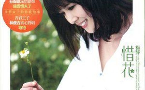 杨静歌曲:将你当做阮的天歌词
