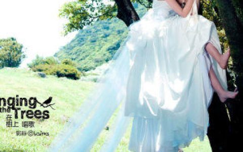郭静歌曲:心墙歌词