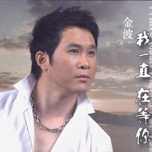 金波歌曲:你的爱到底给了谁歌词