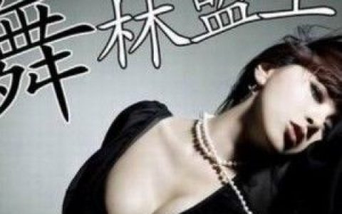 戴雪儿歌曲:舞林盟主歌词
