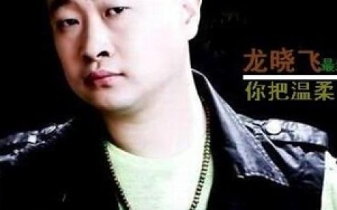 龙晓飞歌曲:你把温柔给了谁歌词