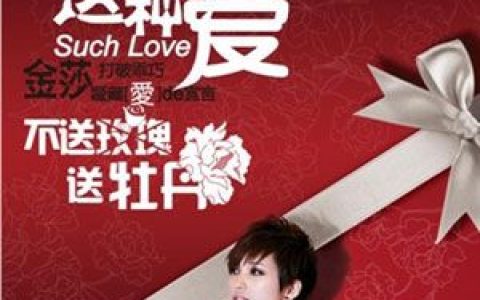 金莎歌曲:这种爱歌词