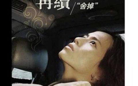 蔡兴麟歌曲:舍掉歌词