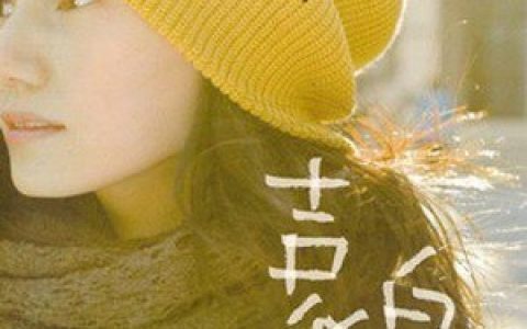 袁泉歌曲:木槿花歌词
