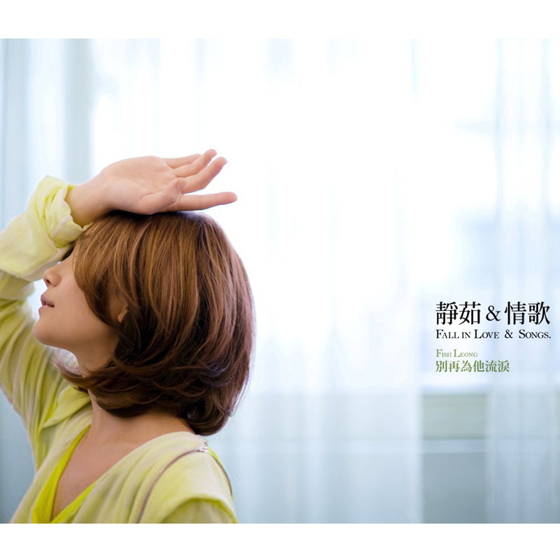 梁静茹歌曲:情歌歌词