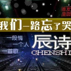 辰诗歌曲:我们一路忘了哭歌词