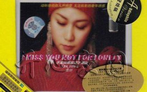 雷婷歌曲:银白色的月光歌词