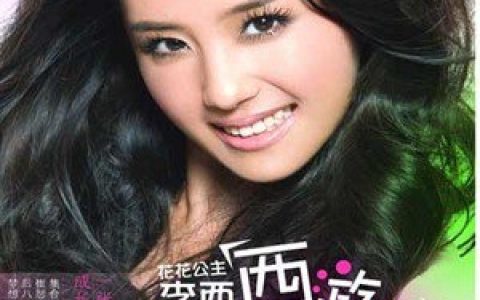 李西歌曲:走马观花歌词