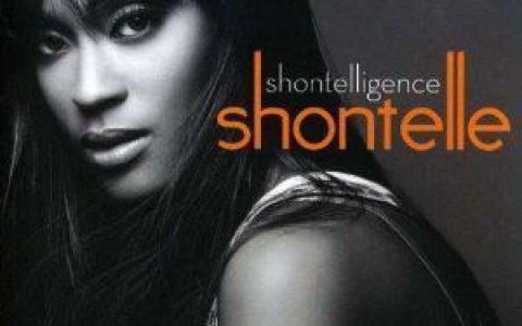 Shontelle歌曲:Flesh And Bone歌词