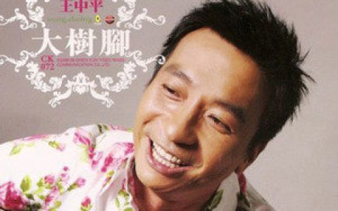 王中平歌曲:我又何必搁再留恋歌词