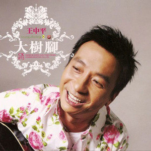 王中平歌曲:离别的恋歌歌词