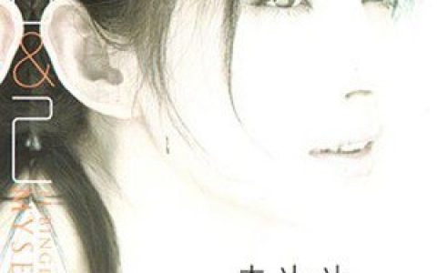 李冰冰歌曲:爱情的形状歌词