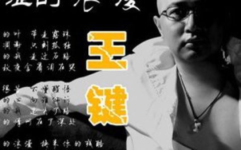 王键歌曲:想歌词