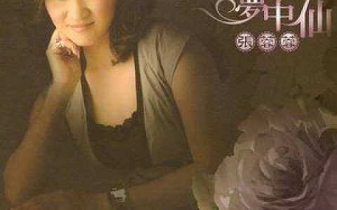 张蓉蓉歌曲:梦中仙歌词