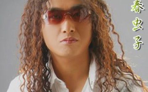 长春虫子歌曲:爱走了心碎了歌词
