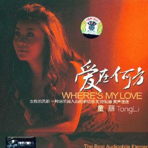 童丽歌曲:绿袖子歌词
