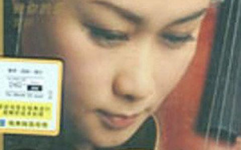 雷婷歌曲:爱情的故事歌词