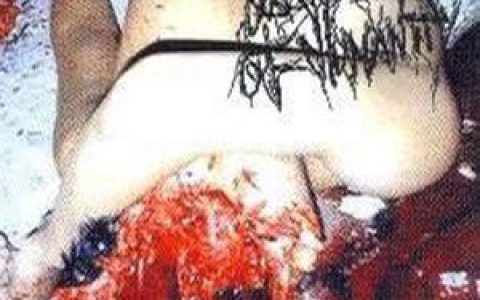 Last Days Of Humanit歌曲:orgasmic abortion歌词