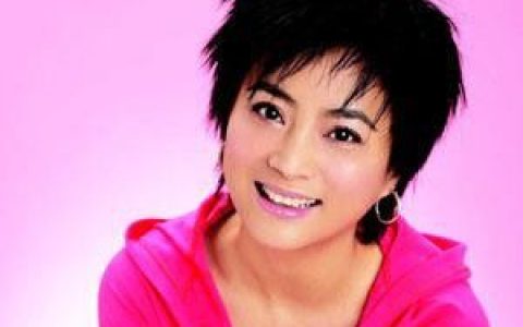 李玲玉歌曲:为何留不住你歌词