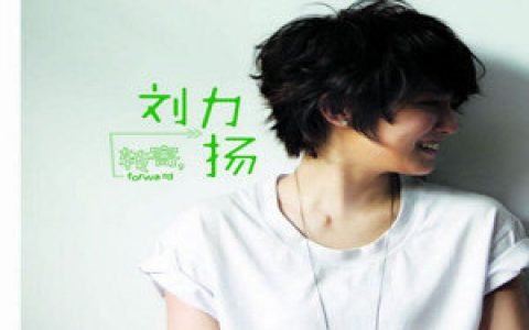 刘力扬歌曲:梅花香歌词