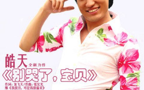 皓天歌曲:别哭了，宝贝歌词